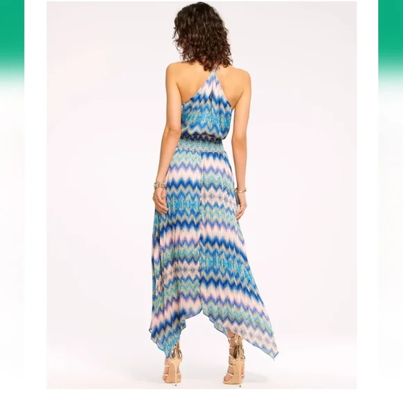Ramy BrookNWTs Giana Halter Maxi Dress - Retro Chevron